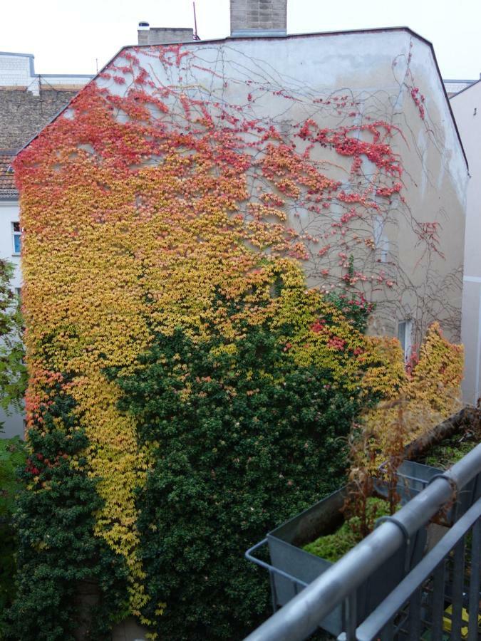 Private In Prenzlauerberg Hospedagem domiciliar Berlim